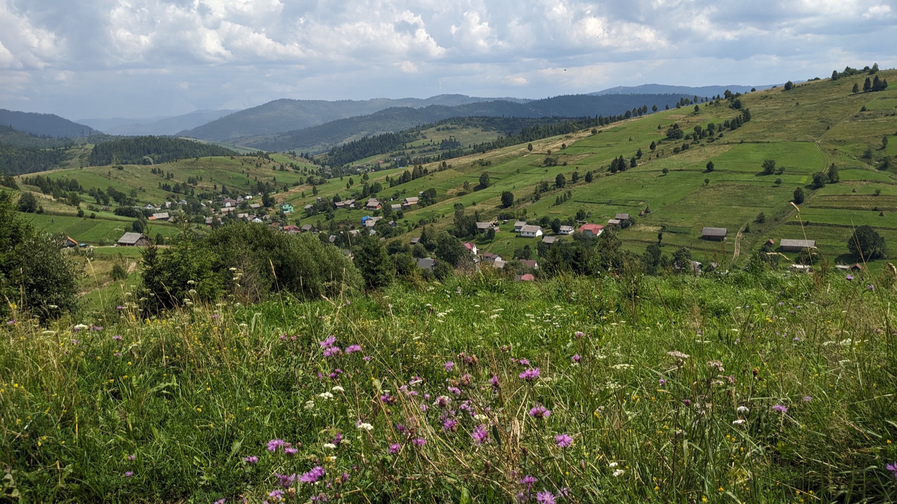 Спокійний літній краєвид Лавочного з хатами і зеленими схилами